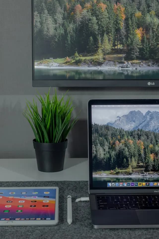 Computer screen and a plant